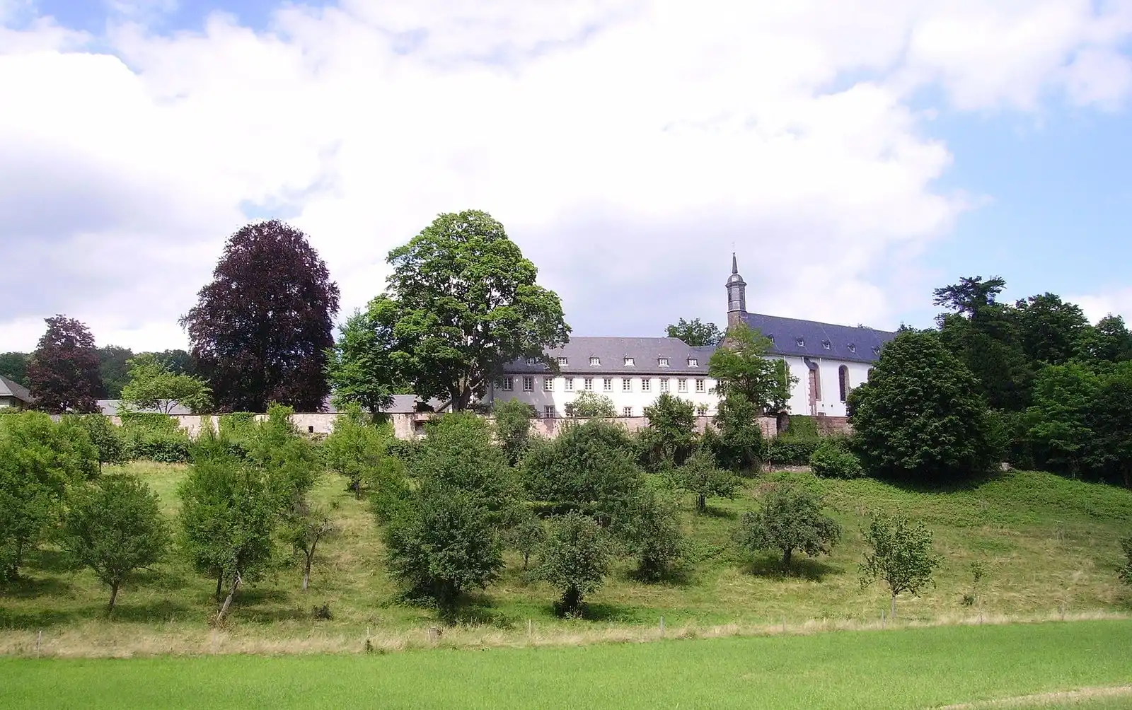 Benediktinerabtei Stift Neuburg in Heidelberg-Ziegelhausen